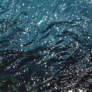 Meet your Posher, Gonzalo